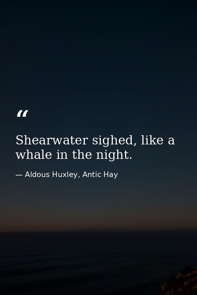 Shearwater sighed, like a whale in the night. — Aldous Huxley, Antic Hay