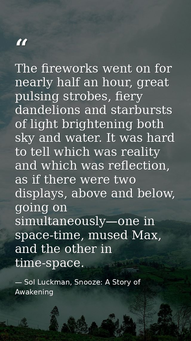The fireworks went on for nearly half an hour, great pulsing strobes, fiery dandelions and starbursts of light brighteni — Sol Luckman, Snooze: A Story of Awakening