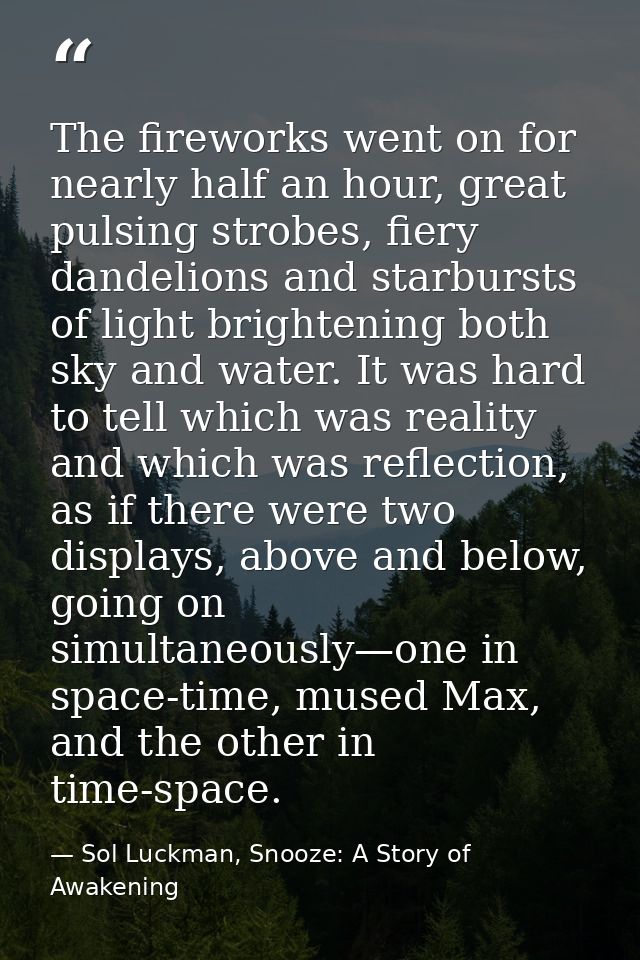 The fireworks went on for nearly half an hour, great pulsing strobes, fiery dandelions and starbursts of light brighteni — Sol Luckman, Snooze: A Story of Awakening