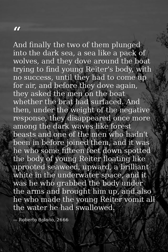 And finally the two of them plunged into the dark sea, a sea like a pack of wolves, and they dove around the boat trying — Roberto Bolaño, 2666