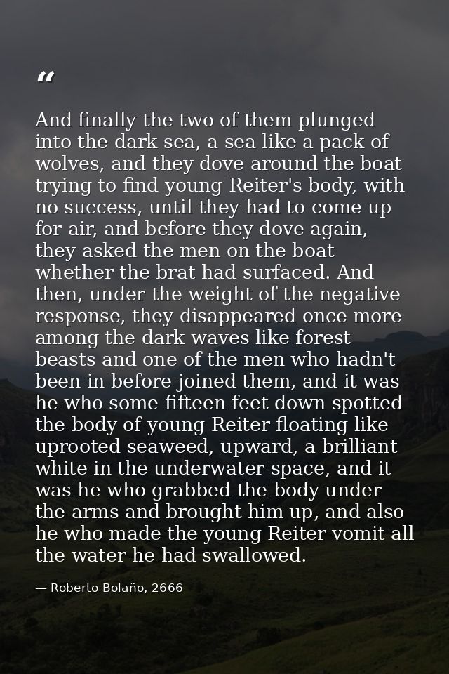 And finally the two of them plunged into the dark sea, a sea like a pack of wolves, and they dove around the boat trying — Roberto Bolaño, 2666