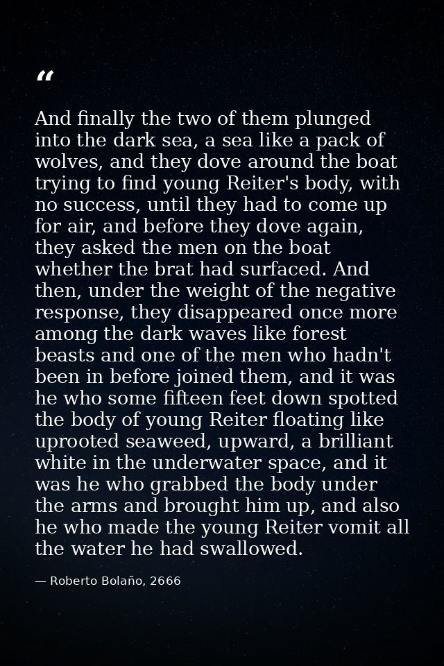 And finally the two of them plunged into the dark sea, a sea like a pack of wolves, and they dove around the boat trying — Roberto Bolaño, 2666