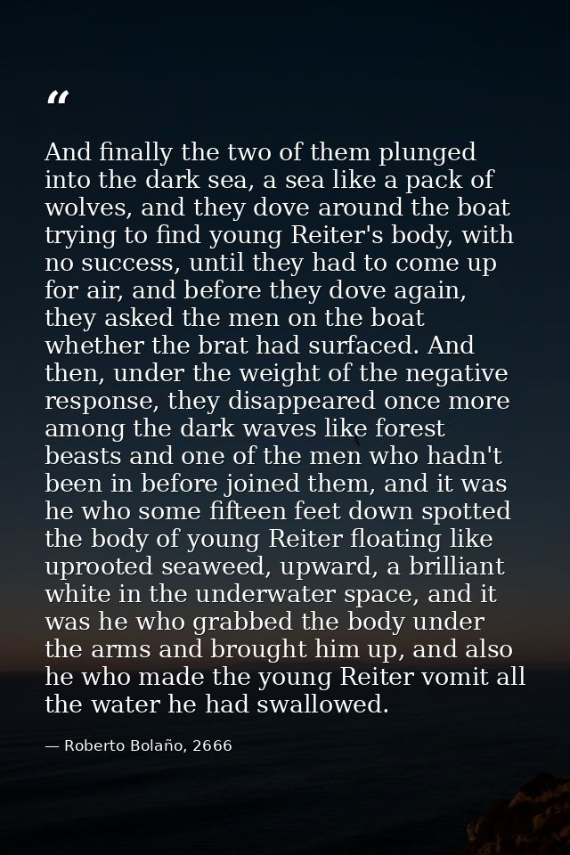 And finally the two of them plunged into the dark sea, a sea like a pack of wolves, and they dove around the boat trying — Roberto Bolaño, 2666