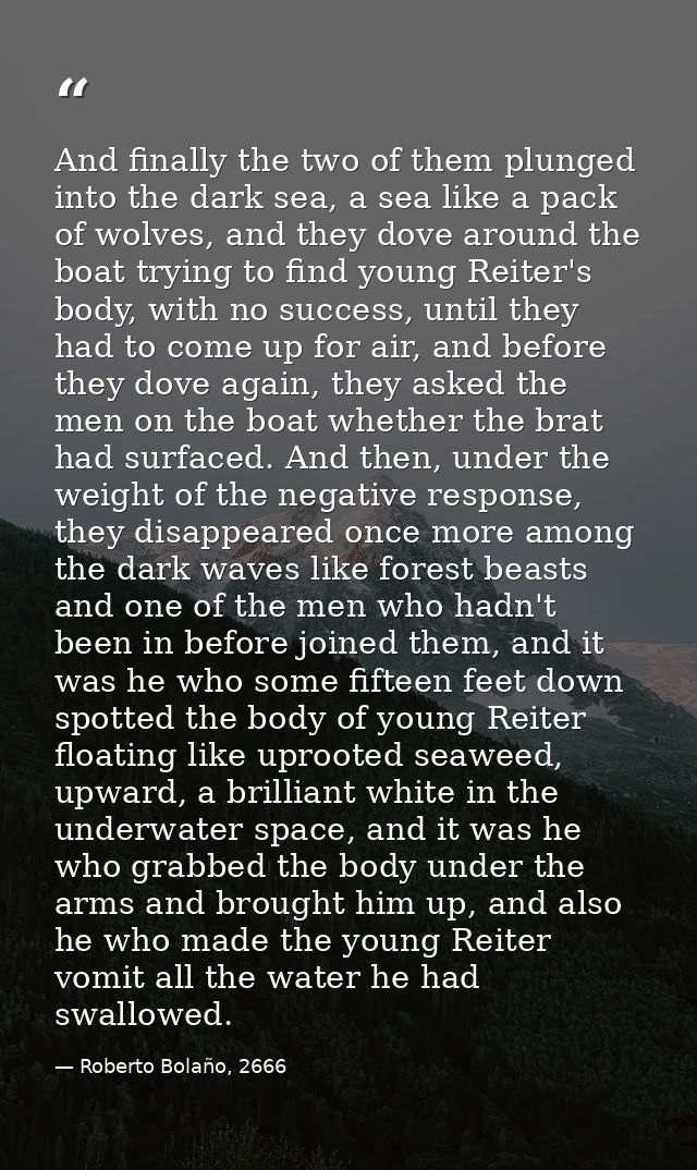 And finally the two of them plunged into the dark sea, a sea like a pack of wolves, and they dove around the boat trying — Roberto Bolaño, 2666