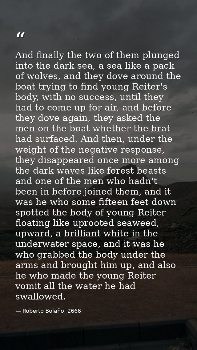 And finally the two of them plunged into the dark sea, a sea like a pack of wolves, and they dove around the boat trying — Roberto Bolaño, 2666
