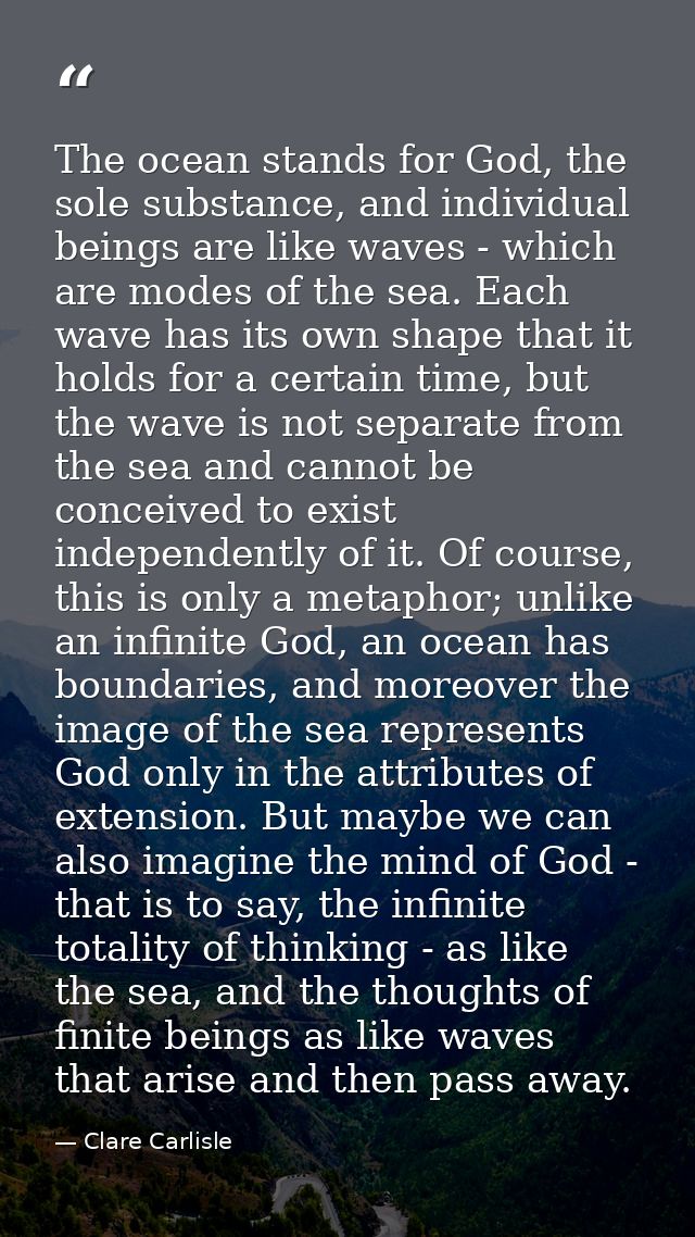 The ocean stands for God, the sole substance, and individual beings are like waves - which are modes of the sea. Each wa — Clare Carlisle