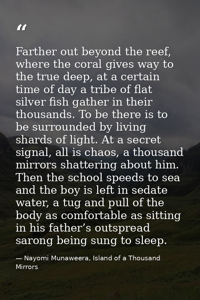 Farther out beyond the reef, where the coral gives way to the true deep, at a certain time of day a tribe of flat silver — Nayomi Munaweera, Island of a Thousand Mirrors