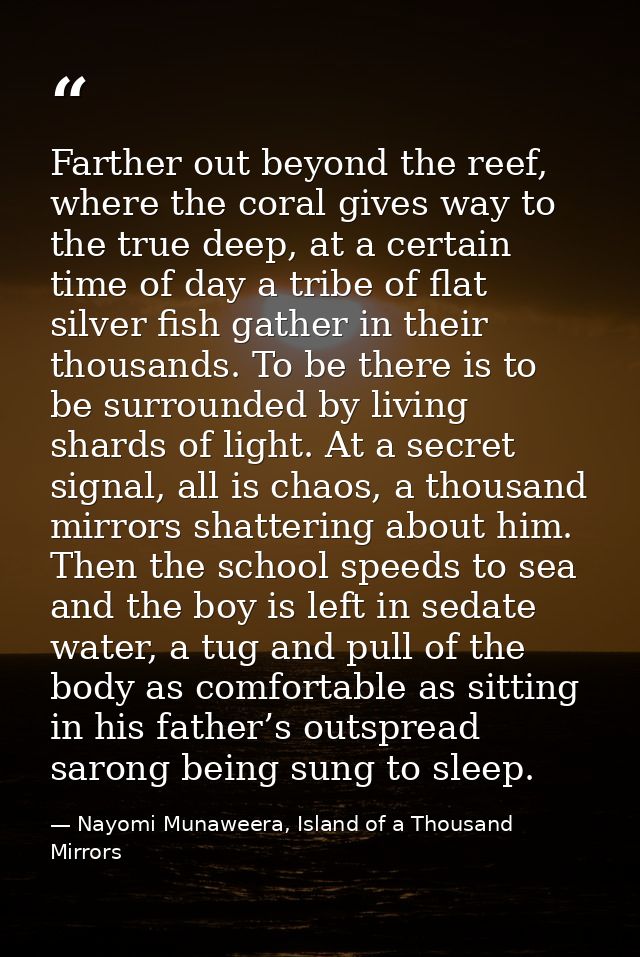 Farther out beyond the reef, where the coral gives way to the true deep, at a certain time of day a tribe of flat silver — Nayomi Munaweera, Island of a Thousand Mirrors