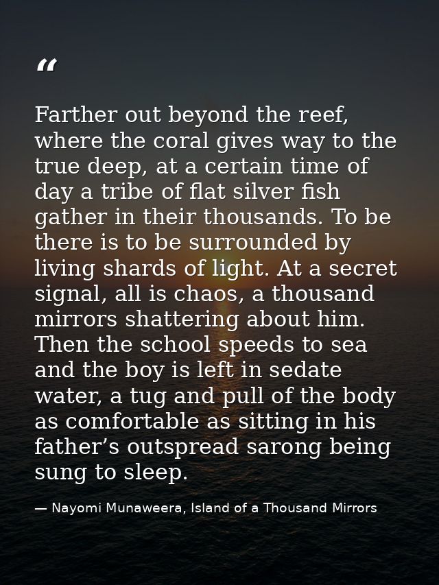 Farther out beyond the reef, where the coral gives way to the true deep, at a certain time of day a tribe of flat silver — Nayomi Munaweera, Island of a Thousand Mirrors