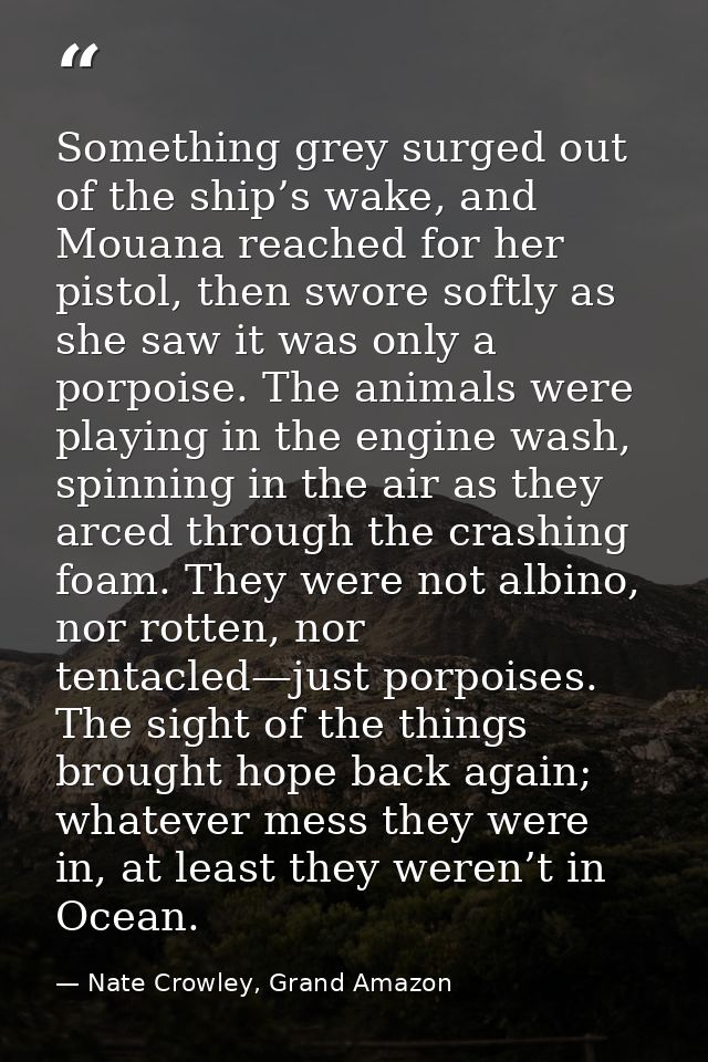 Something grey surged out of the ship’s wake, and Mouana reached for her pistol, then swore softly as she saw it was onl — Nate Crowley, Grand Amazon