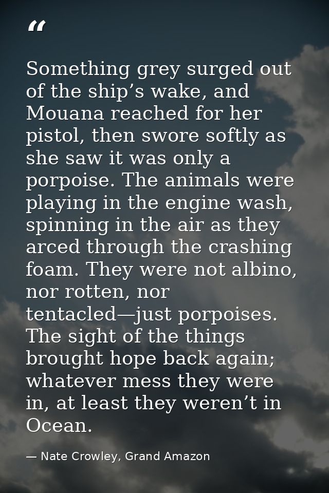 Something grey surged out of the ship’s wake, and Mouana reached for her pistol, then swore softly as she saw it was onl — Nate Crowley, Grand Amazon