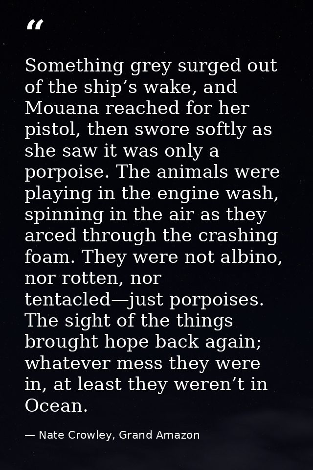 Something grey surged out of the ship’s wake, and Mouana reached for her pistol, then swore softly as she saw it was onl — Nate Crowley, Grand Amazon