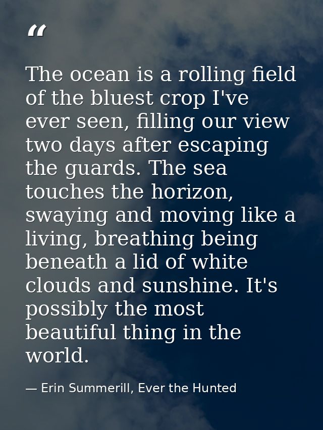The ocean is a rolling field of the bluest crop I've ever seen, filling our view two days after escaping the guards. The — Erin Summerill, Ever the Hunted