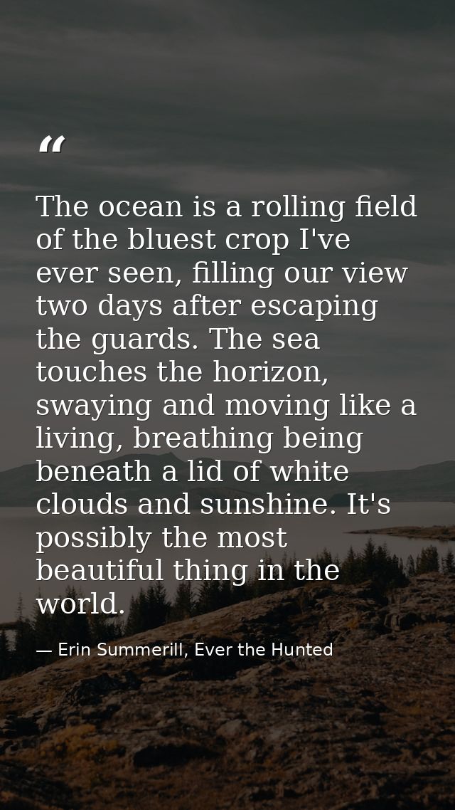 The ocean is a rolling field of the bluest crop I've ever seen, filling our view two days after escaping the guards. The — Erin Summerill, Ever the Hunted