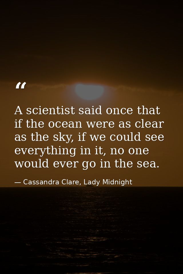 A scientist said once that if the ocean were as clear as the sky, if we could see everything in it, no one would ever go — Cassandra Clare, Lady Midnight