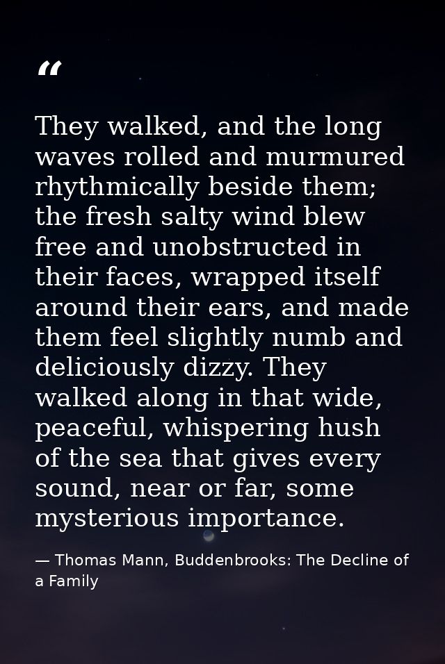 They walked, and the long waves rolled and murmured rhythmically beside them; the fresh salty wind blew free and unobstr — Thomas Mann, Buddenbrooks: The Decline of a Family