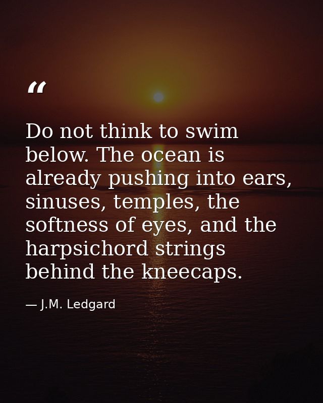 Do not think to swim below. The ocean is already pushing into ears, sinuses, temples, the softness of eyes, and the harp — J.M. Ledgard