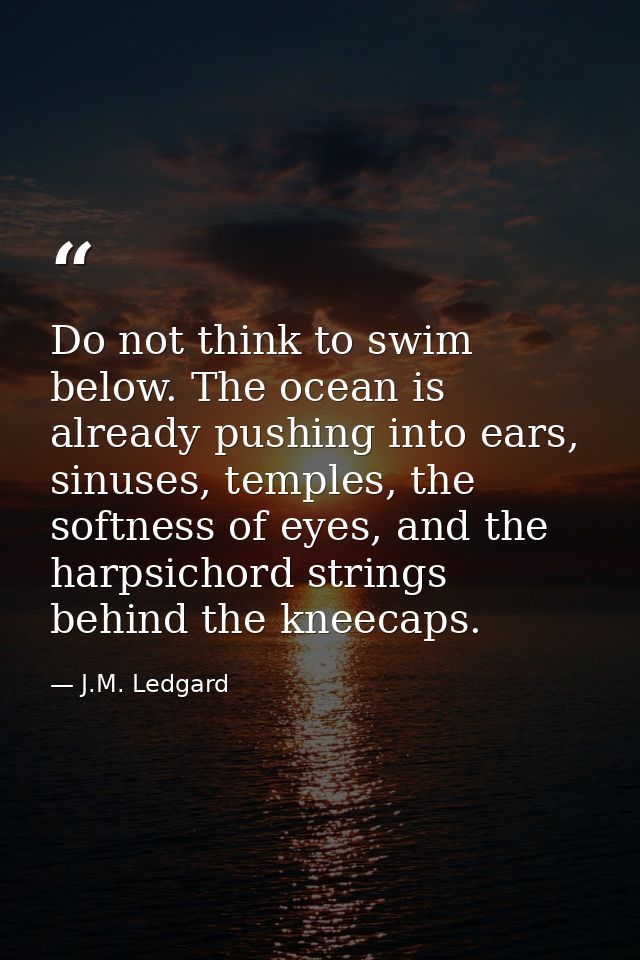 Do not think to swim below. The ocean is already pushing into ears, sinuses, temples, the softness of eyes, and the harp — J.M. Ledgard