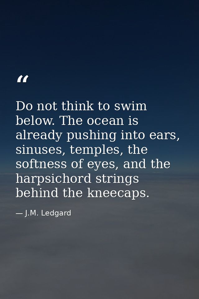 Do not think to swim below. The ocean is already pushing into ears, sinuses, temples, the softness of eyes, and the harp — J.M. Ledgard