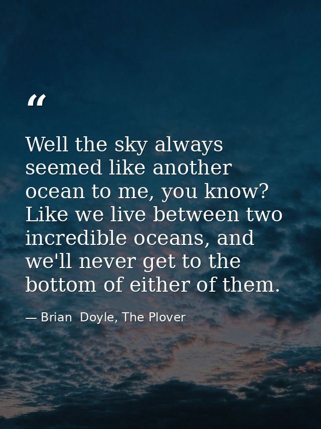 Well the sky always seemed like another ocean to me, you know? Like we live between two incredible oceans, and we'll nev — Brian  Doyle, The Plover