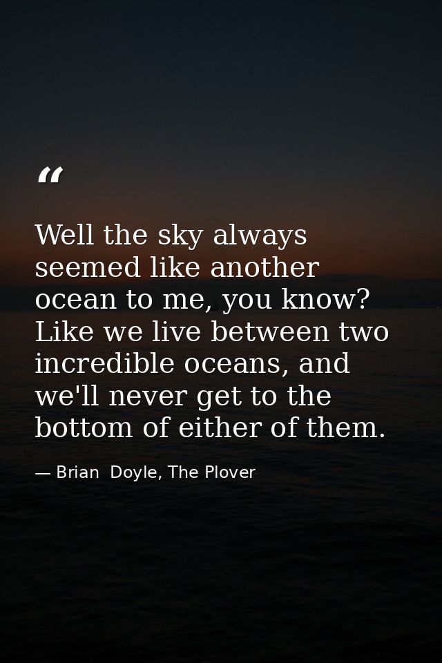 Well the sky always seemed like another ocean to me, you know? Like we live between two incredible oceans, and we'll nev — Brian  Doyle, The Plover