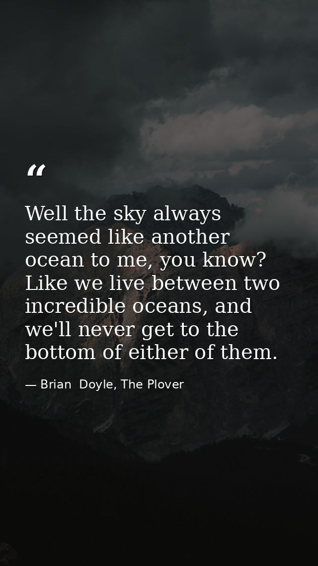 Well the sky always seemed like another ocean to me, you know? Like we live between two incredible oceans, and we'll nev — Brian  Doyle, The Plover