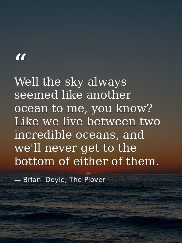 Well the sky always seemed like another ocean to me, you know? Like we live between two incredible oceans, and we'll nev — Brian  Doyle, The Plover