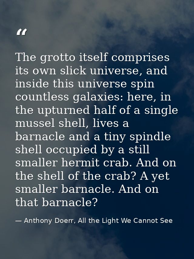 The grotto itself comprises its own slick universe, and inside this universe spin countless galaxies: here, in the uptur — Anthony Doerr, All the Light We Cannot See