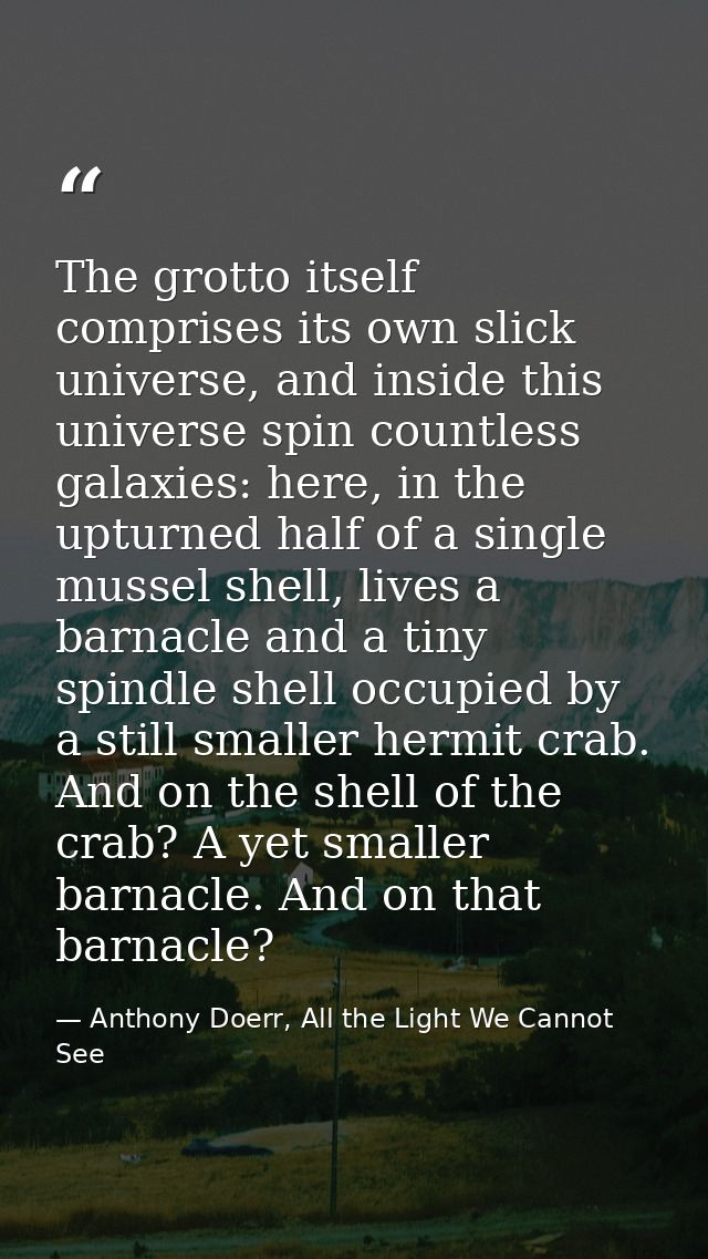 The grotto itself comprises its own slick universe, and inside this universe spin countless galaxies: here, in the uptur — Anthony Doerr, All the Light We Cannot See