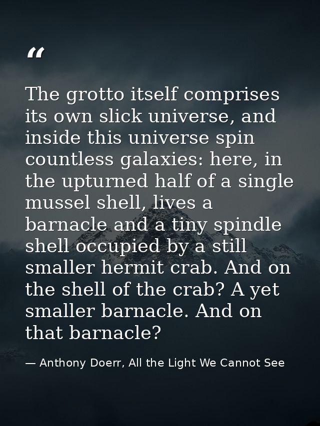 The grotto itself comprises its own slick universe, and inside this universe spin countless galaxies: here, in the uptur — Anthony Doerr, All the Light We Cannot See