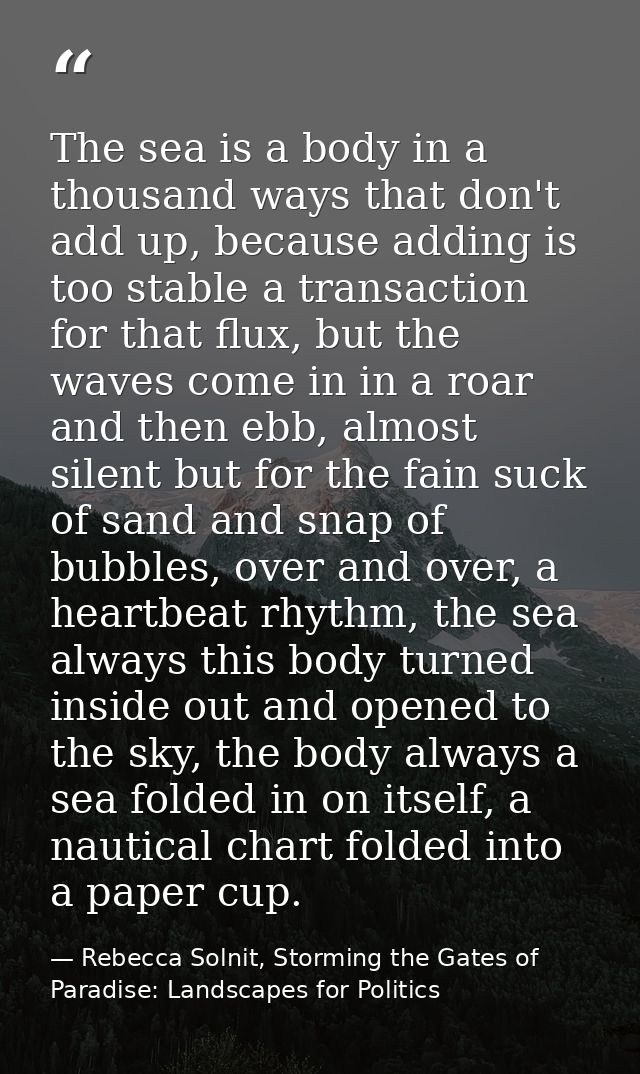 The sea is a body in a thousand ways that don't add up, because adding is too stable a transaction for that flux, but th — Rebecca Solnit, Storming the Gates of Paradise: Landscapes for Politics