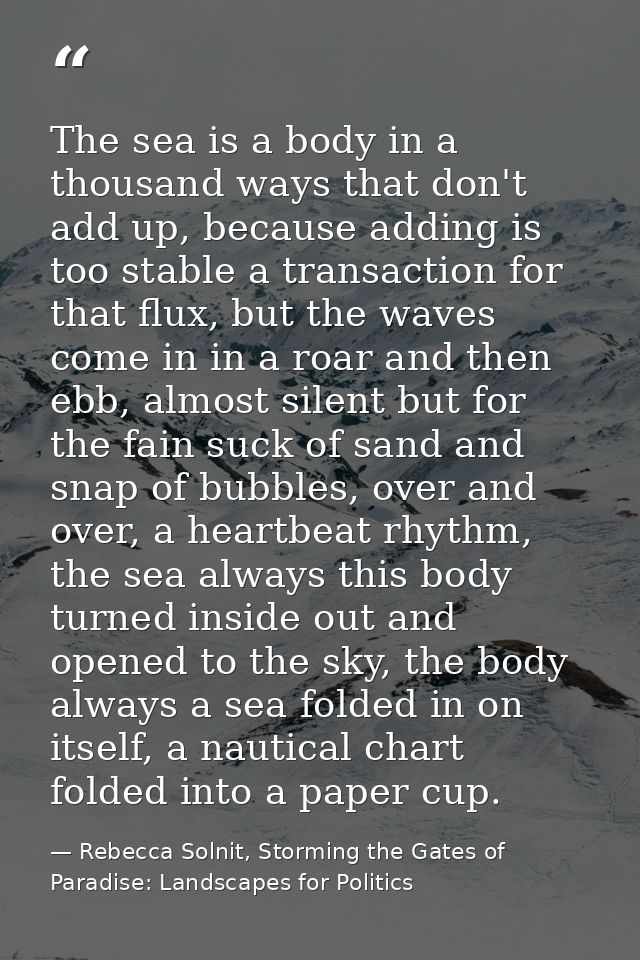 The sea is a body in a thousand ways that don't add up, because adding is too stable a transaction for that flux, but th — Rebecca Solnit, Storming the Gates of Paradise: Landscapes for Politics