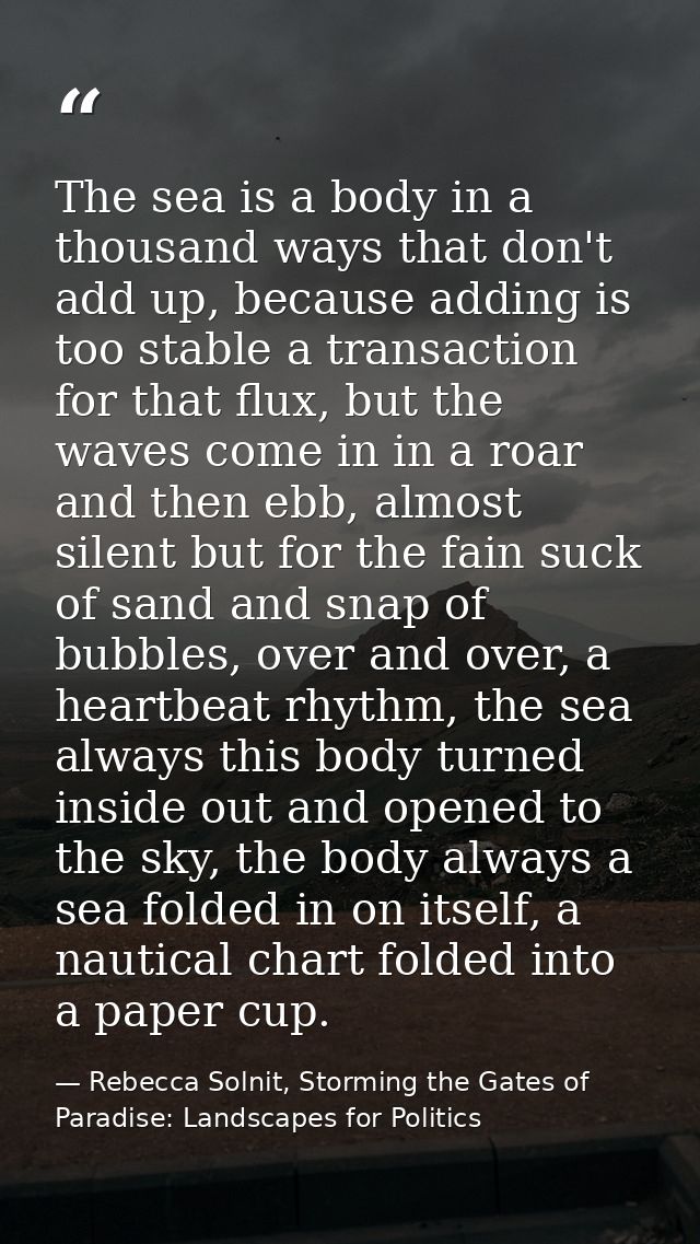 The sea is a body in a thousand ways that don't add up, because adding is too stable a transaction for that flux, but th — Rebecca Solnit, Storming the Gates of Paradise: Landscapes for Politics