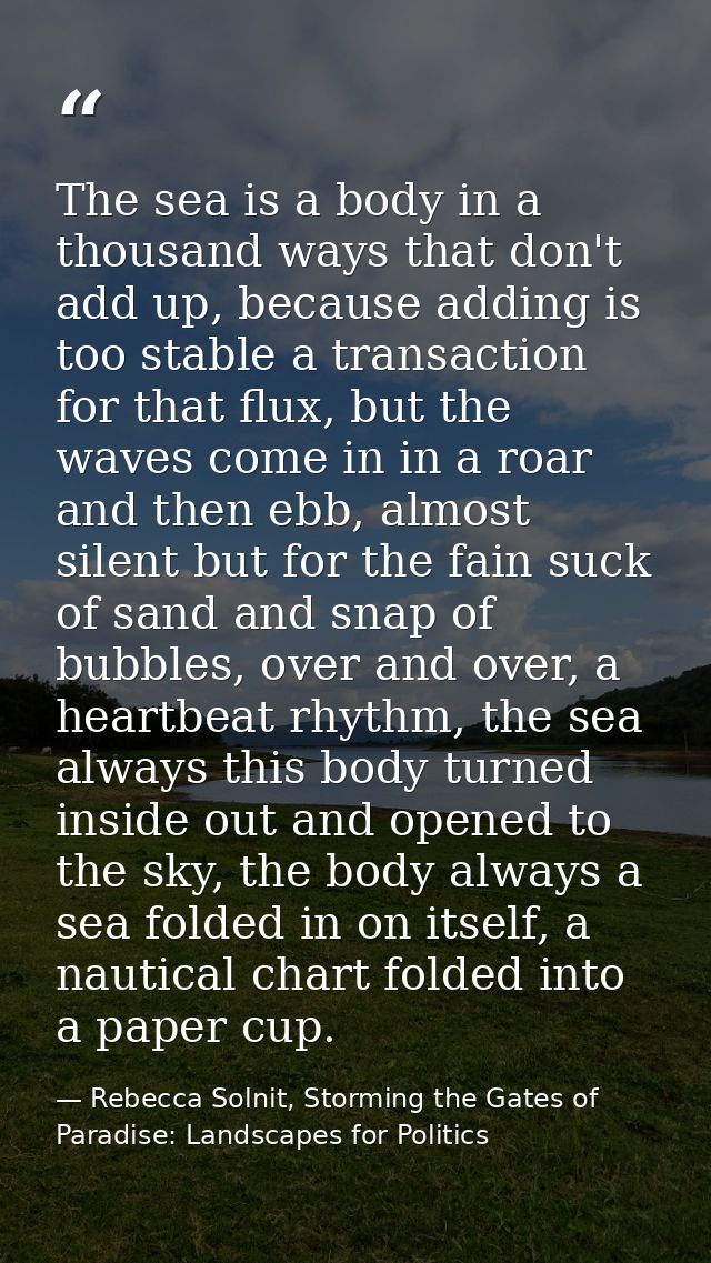 The sea is a body in a thousand ways that don't add up, because adding is too stable a transaction for that flux, but th — Rebecca Solnit, Storming the Gates of Paradise: Landscapes for Politics