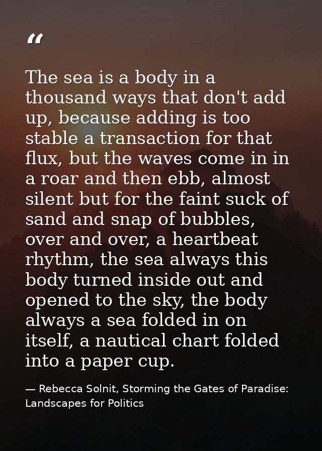 The sea is a body in a thousand ways that don't add up, because adding is too stable a transaction for that flux, but th — Rebecca Solnit, Storming the Gates of Paradise: Landscapes for Politics