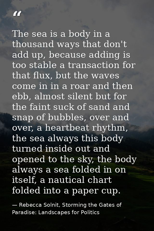 The sea is a body in a thousand ways that don't add up, because adding is too stable a transaction for that flux, but th — Rebecca Solnit, Storming the Gates of Paradise: Landscapes for Politics