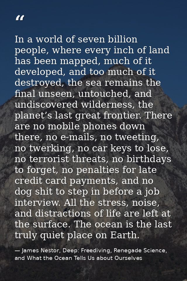 In a world of seven billion people, where every inch of land has been mapped, much of it developed, and too much of it d — James Nestor, Deep: Freediving, Renegade Science, and What the Ocean Tells Us about Ourselves