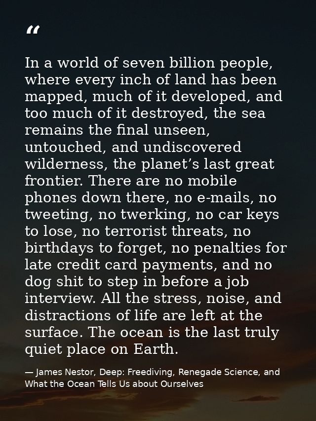 In a world of seven billion people, where every inch of land has been mapped, much of it developed, and too much of it d — James Nestor, Deep: Freediving, Renegade Science, and What the Ocean Tells Us about Ourselves