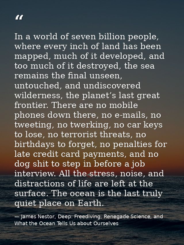 In a world of seven billion people, where every inch of land has been mapped, much of it developed, and too much of it d — James Nestor, Deep: Freediving, Renegade Science, and What the Ocean Tells Us about Ourselves