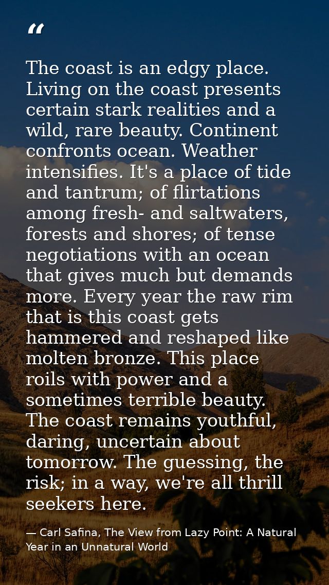 The coast is an edgy place. Living on the coast presents certain stark realities and a wild, rare beauty. Continent conf — Carl Safina, The View from Lazy Point: A Natural Year in an Unnatural World