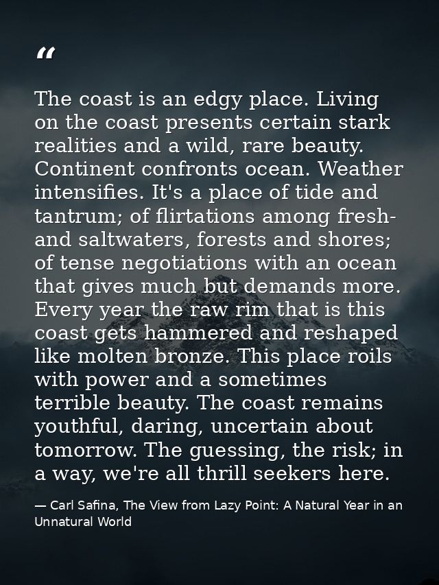 The coast is an edgy place. Living on the coast presents certain stark realities and a wild, rare beauty. Continent conf — Carl Safina, The View from Lazy Point: A Natural Year in an Unnatural World