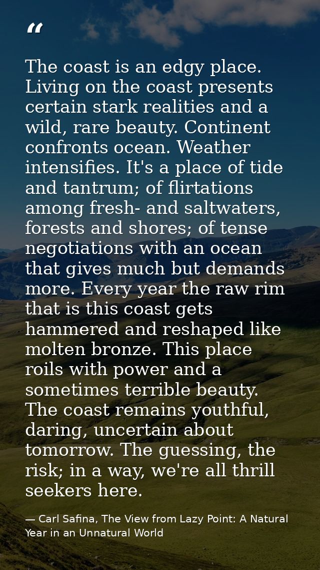 The coast is an edgy place. Living on the coast presents certain stark realities and a wild, rare beauty. Continent conf — Carl Safina, The View from Lazy Point: A Natural Year in an Unnatural World