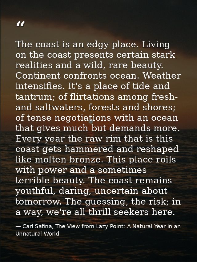 The coast is an edgy place. Living on the coast presents certain stark realities and a wild, rare beauty. Continent conf — Carl Safina, The View from Lazy Point: A Natural Year in an Unnatural World