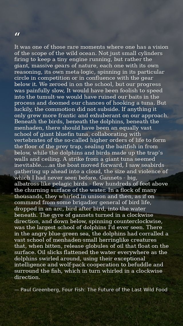 It was one of those rare moments where one has a vision of the scope of the wild ocean. Not just small cylinders firing  — Paul Greenberg, Four Fish: The Future of the Last Wild Food