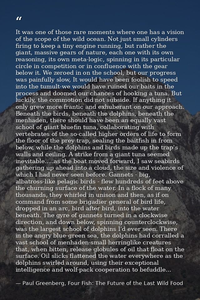 It was one of those rare moments where one has a vision of the scope of the wild ocean. Not just small cylinders firing  — Paul Greenberg, Four Fish: The Future of the Last Wild Food