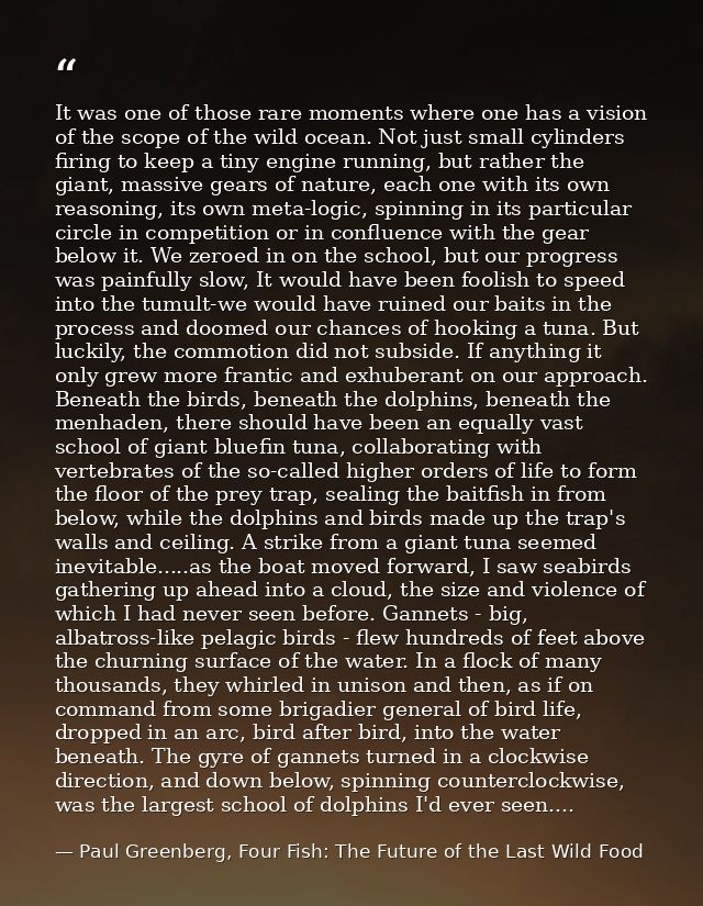 It was one of those rare moments where one has a vision of the scope of the wild ocean. Not just small cylinders firing  — Paul Greenberg, Four Fish: The Future of the Last Wild Food