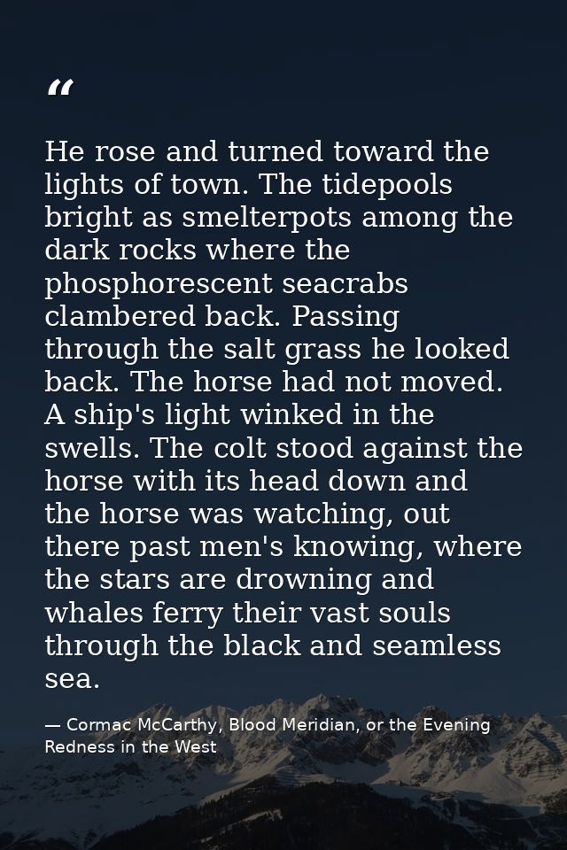 He rose and turned toward the lights of town. The tidepools bright as smelterpots among the dark rocks where the phospho — Cormac McCarthy, Blood Meridian, or the Evening Redness in the West