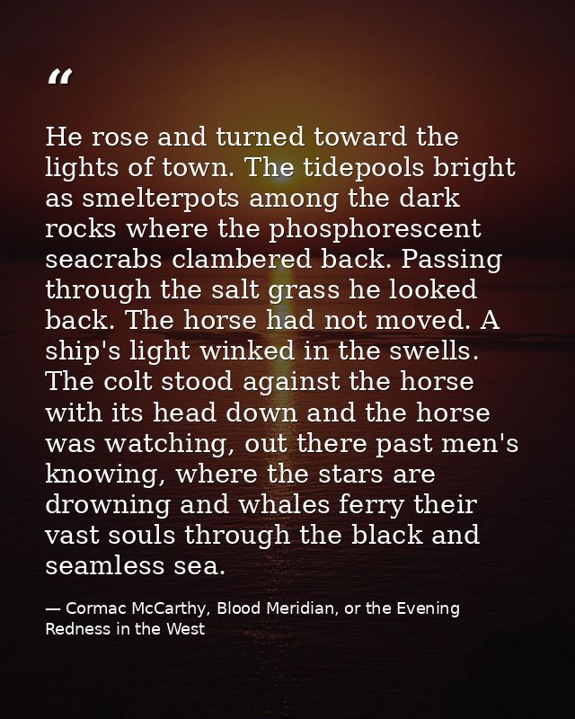 He rose and turned toward the lights of town. The tidepools bright as smelterpots among the dark rocks where the phospho — Cormac McCarthy, Blood Meridian, or the Evening Redness in the West