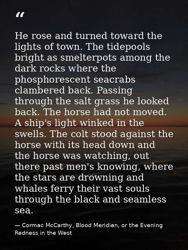 He rose and turned toward the lights of town. The tidepools bright as smelterpots among the dark rocks where the phospho — Cormac McCarthy, Blood Meridian, or the Evening Redness in the West