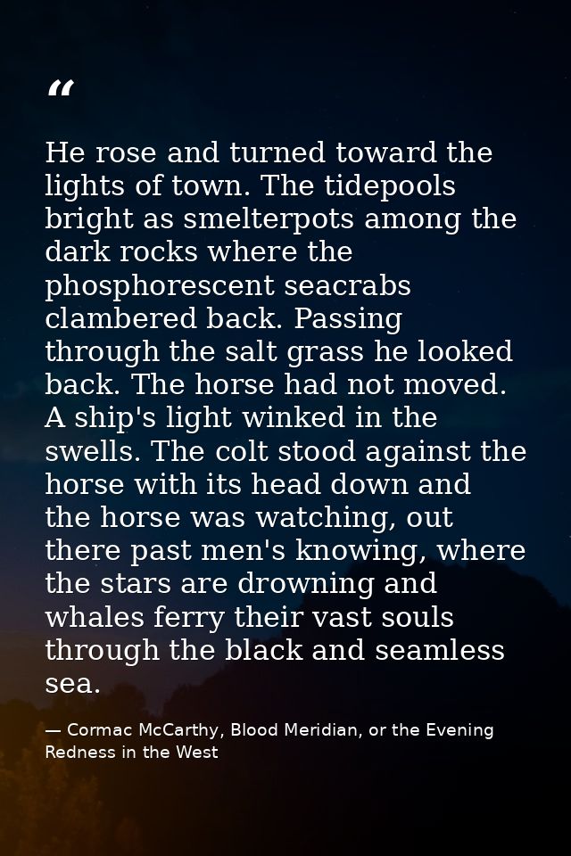 He rose and turned toward the lights of town. The tidepools bright as smelterpots among the dark rocks where the phospho — Cormac McCarthy, Blood Meridian, or the Evening Redness in the West